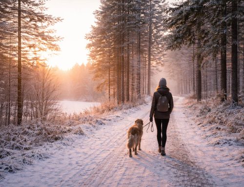 Discipline Equals Freedom: A Mental Health Perspective