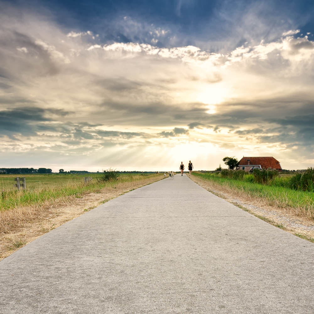 Walking down a peaceful path coping with anxiety with the help of Wyndhurst Counseling and Wellness Virtual support 1000